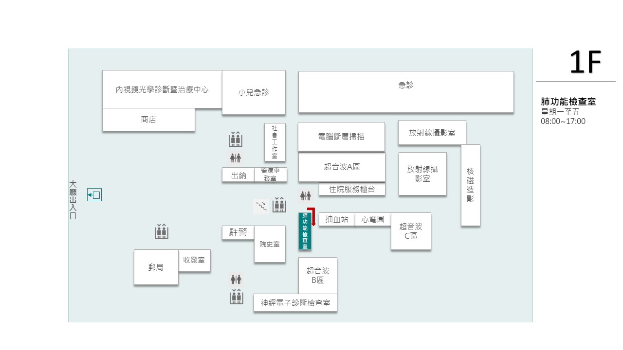 肺功能位置圖