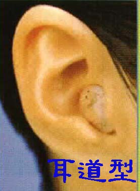 耳道型