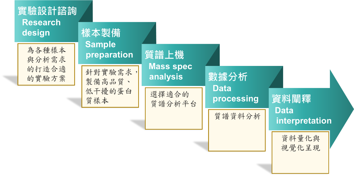 蛋白質體核心分析服務流程
