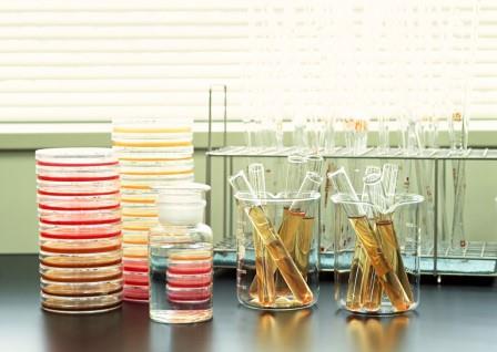 medical research image2