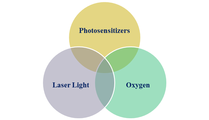 光敏劑、氧分子、光源