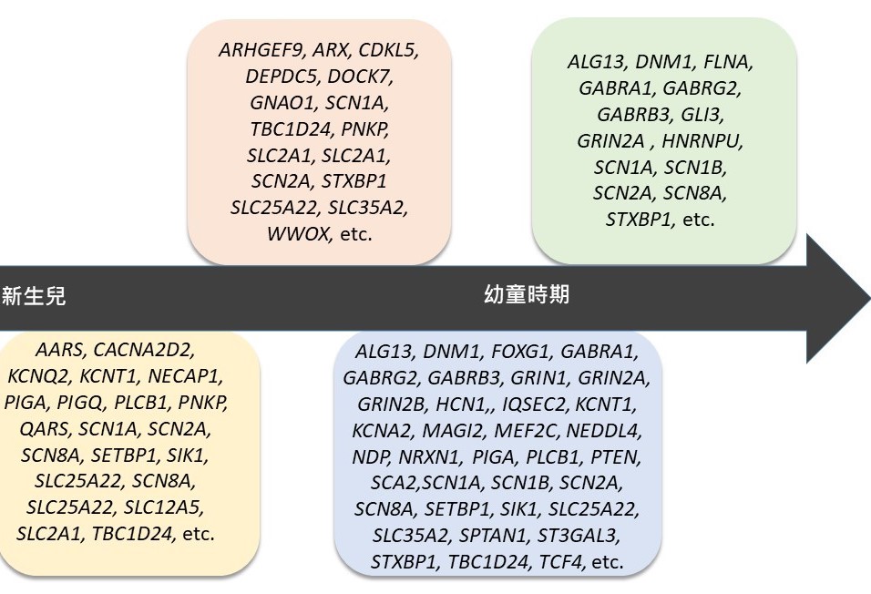 兒童癲癇性腦病變的致病基因