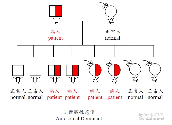 自體顯性遺傳