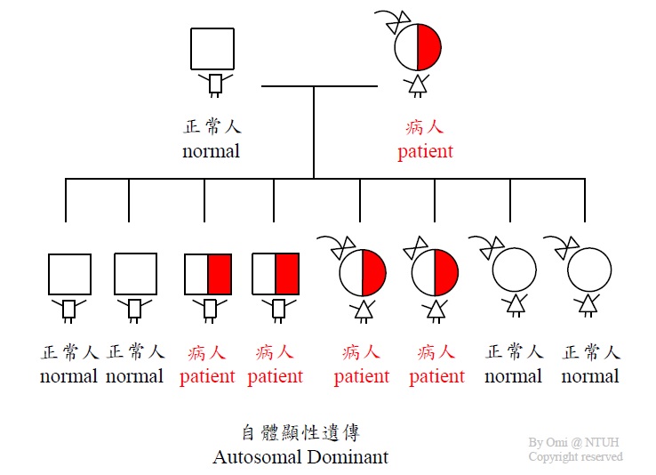 自體顯性遺傳_1