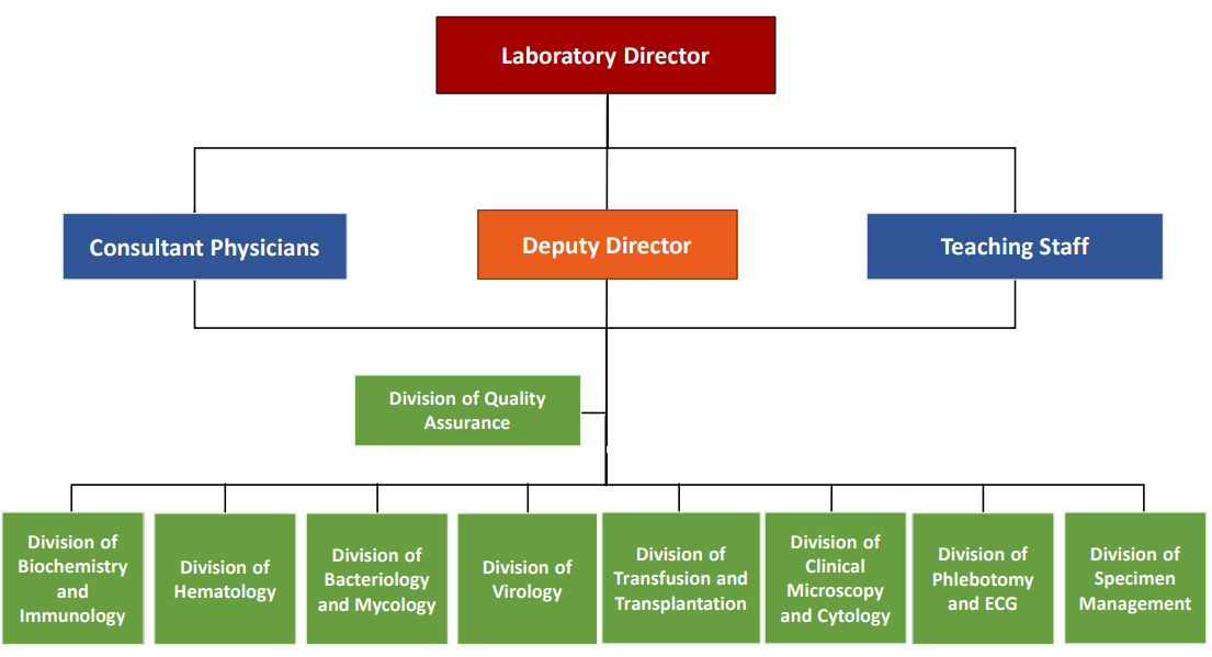 Organization Chart：Laboratory Director：Tsu-Yao Cheng,MD,PhD.Vice Director：Sui-Yuan Chang,ScD.Physicians:Dr. Wen-Chien Chou, Dr. Jong-Min Chen, Dr. Shyh-Chyi Lo, Dr. I-Shiow Jan, Dr. CY Yao , Dr. Wern-Cherng Cheng, Dr.Kuei-Pin Chung, Dr. Szu-Chun Hsu, Dr. Yung-Li Yang, Dr. Chien-Chin Lin, Dr. Ming-Kai Chuang, Dr. Yu-Tsung Huang.Resident:Dr. Chi-Yuan Yao, Dr. Sheng-Chuan Huang, Dr. Chun-Min Kang.Teaching staff：Liang-In Lin, PhD；Lee-Jene Teng, MS；Shu-Wha Lin, PhD；Sung-Liang Yu, PhD；Shwu-Jen Liaw, PhD；Ya-Chien Yang, PhD；Woei-Horng Fang, PhD；Ya-Hui Chuang, PhD；Hao-Chieh Chiu, PhD；Chung-Yi Hu, PhD；Kang-Yi Su, PhD；Jui-ching Wu, PhD；Shiou-Hwei Yeh, PhD.Division of Quality Assurance：Szu-Wen Shen.Division of Biochemistry and Immunology：Ya-Fen Lee.Division of Hematology：Cheng-An Hsu.Division of Bacteriology and Mycology：Tai-Fen Lee.Division of Virology：Shu-Yuan Ho.Division of Transfusion and Transplantation Immunology： Fei-Yun Liu.Division of Clinical Microscopy and Cytology：Pin-Fei Wei.Division of Phlebotomy and ECG：Yuan-Chang Chao.Division of Specimen Management：Sandy Huey-Jen Hsu.