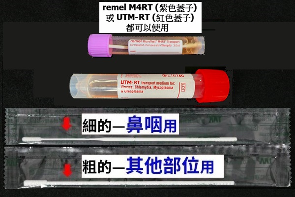 鼻咽採檢套組