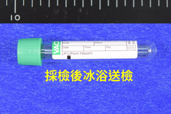 綠頭管(冰浴)