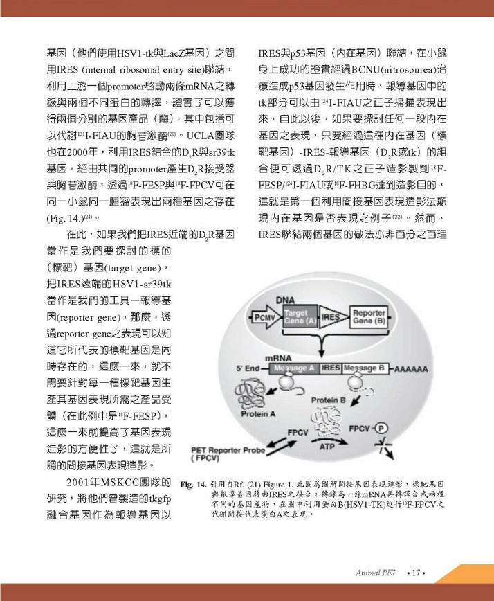 small animal PET CT 簡介_Page_19.jpg