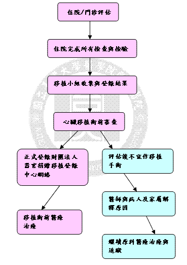 心臟評估流程圖