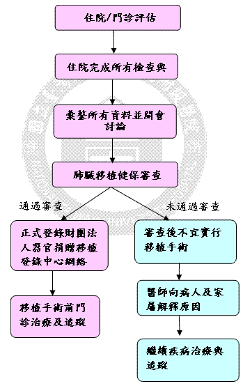 活體肺葉評估流程