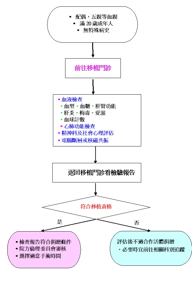 腎臟親屬活體捐贈者臨床篩選流程