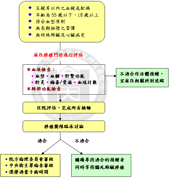 活體贈捐者臨床篩選流程