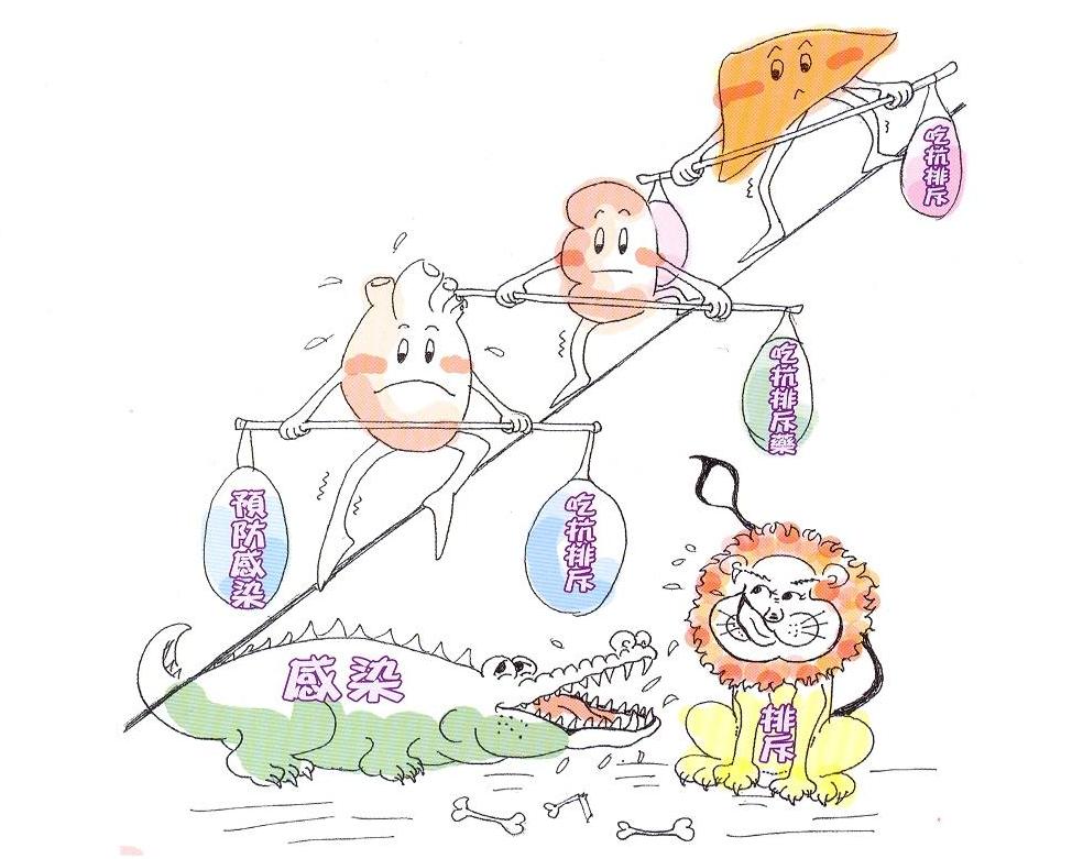 圖片:要記得按時服用抗排斥藥以及預防感染