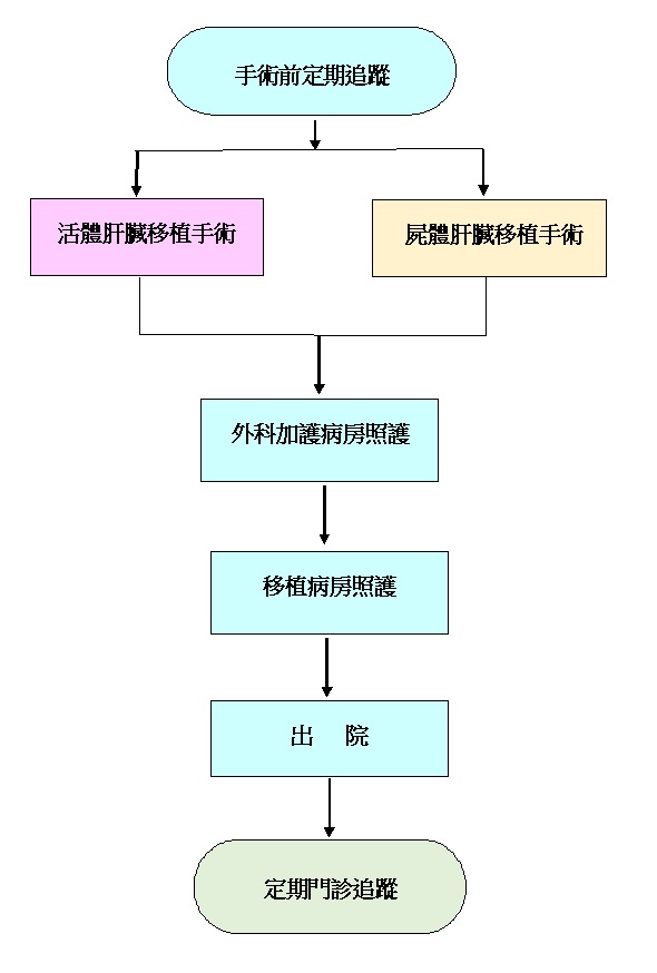 肝臟移植手術住院治療流程