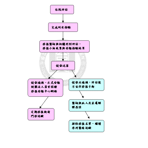 肝臟移植受贈者術前住院評估流程