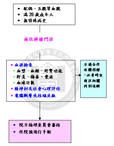 腎臟親屬活體捐贈者臨床篩選流程