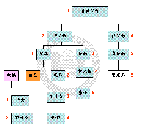 腎臟親等圖