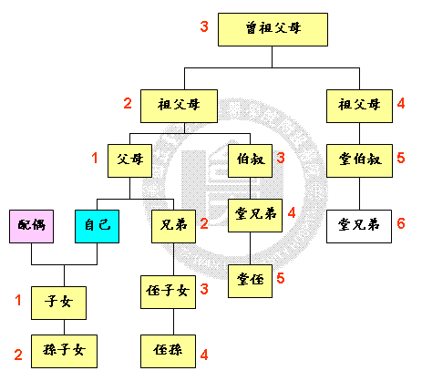 親等圖 親等圖