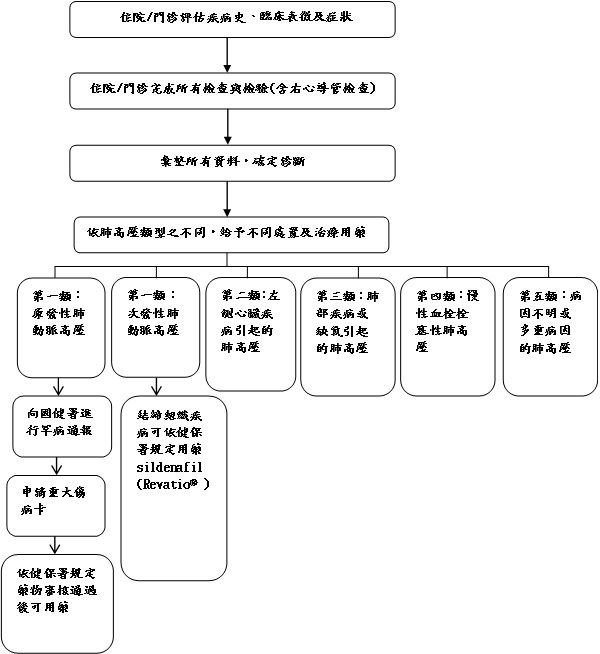 診斷流程