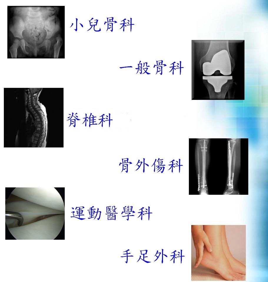 骨科科別：小兒骨科、一般骨科、脊椎科、骨外傷科、運動衣學科、手足外科