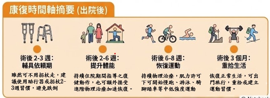 DAA康復時間軸摘要