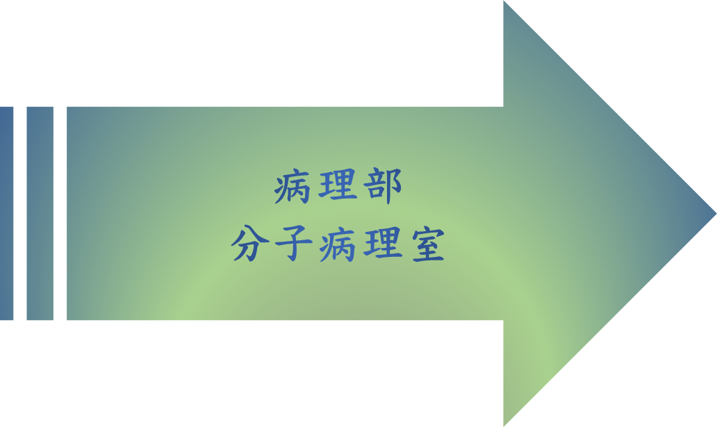 病理部分子病理室