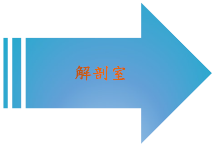 解剖室