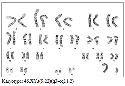 Karyotype