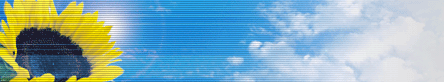 MSOImageWebPart_WebPartWPQ3